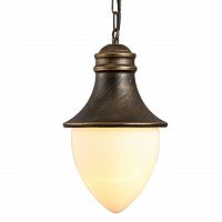 уличный подвесной светильник arte lamp vienna a1317so-1bn в Сочи