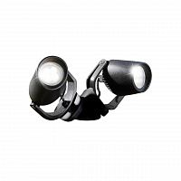 уличный настенный светодиодный светильник fumagalli minitommy 2l 3m1.000.000.axu2l в Сочи