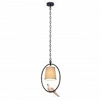 подвесной светильник loft it loft1029a-1 в Сочи