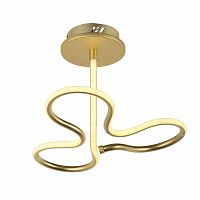 потолочный светодиодный светильник arti lampadari angelo l 1.2.35.03 g в Сочи