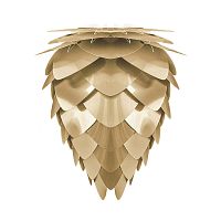 плафон conia brushed brass в Сочи