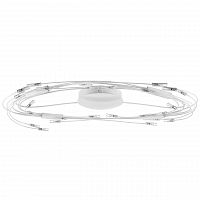 потолочный светильник lightstar ovale 784246 в Сочи