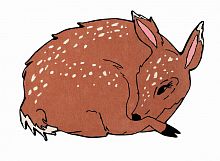 ковер шерстяной олененок the deer в Сочи