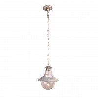 уличный подвесной светильник arte lamp amsterdam a1523so-1wg в Сочи