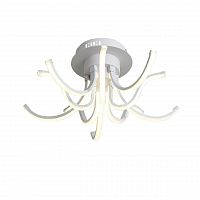 потолочный светодиодный светильник st luce finde sl826.502.10 в Сочи