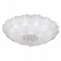потолочный светильник lightstar lobo 804070 в Сочи