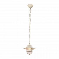 подвесной светильник arte lamp a4579sp-1wg в Сочи